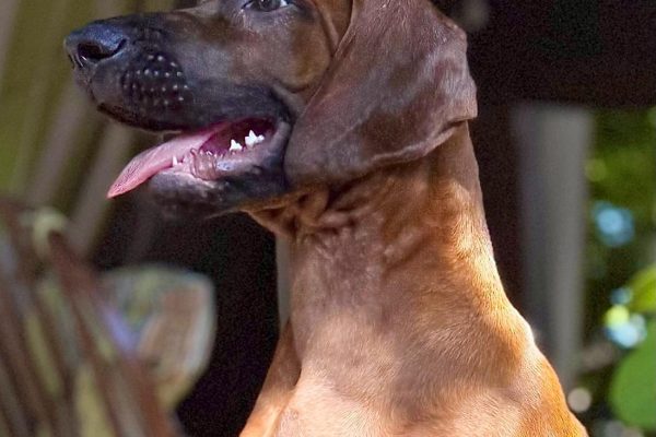 WhatsApp Image 2025-10-10 at 4.20.21 PM