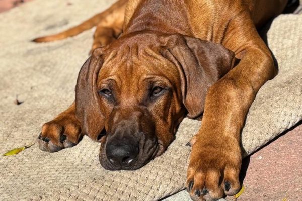 WhatsApp Image 2025-10-13 at 2.33.42 PM